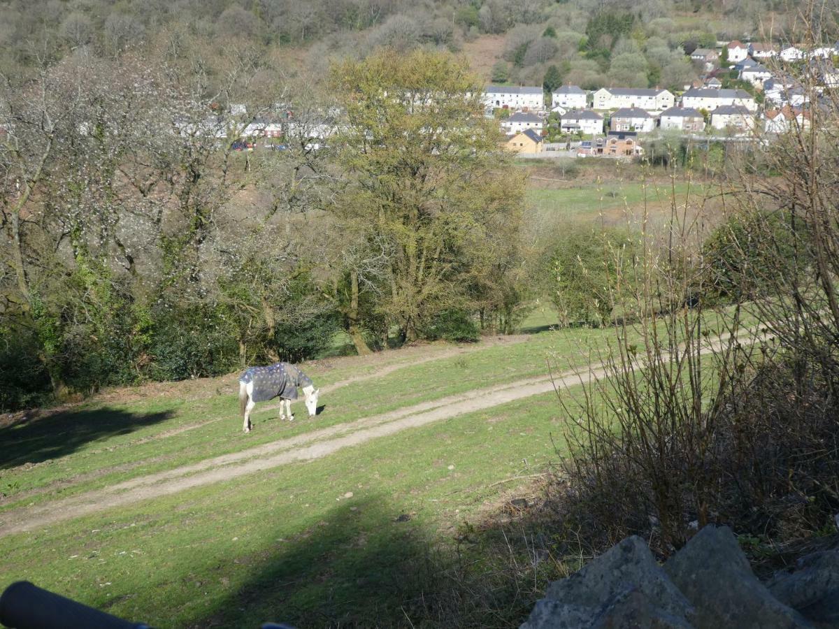 Ty Coppi Holiday Cottage Newport  Dış mekan fotoğraf